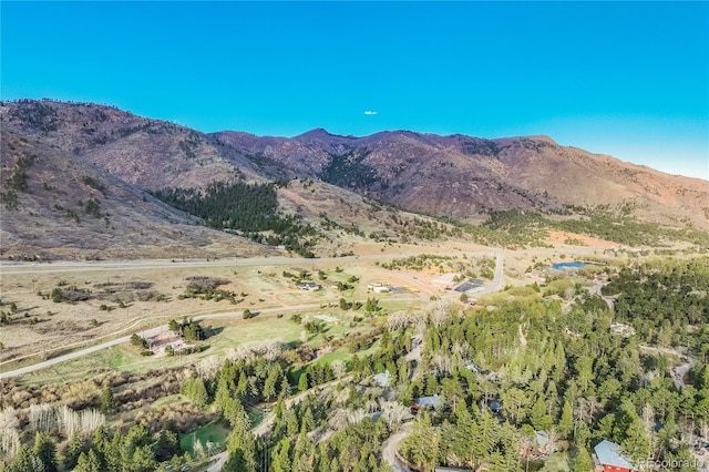 9610 Mohawk Trl, Cascade, CO 80809 - view of mountain background