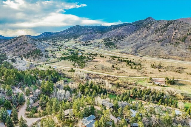 9610 Mohawk Trl, Cascade, CO 80809 - mountain view