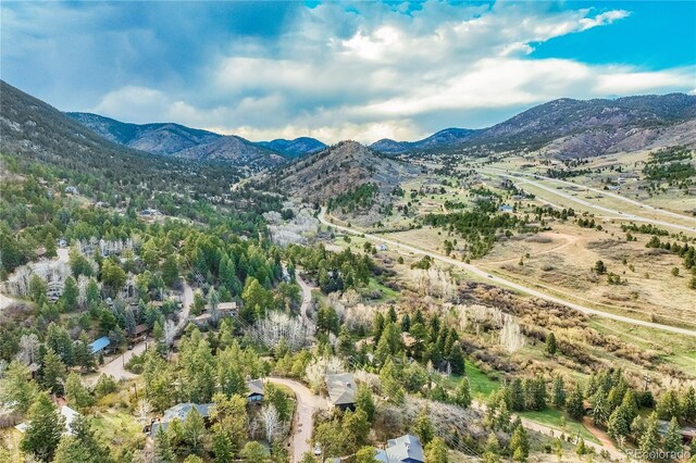 9610 Mohawk Trl, Cascade, CO 80809 - mountain view