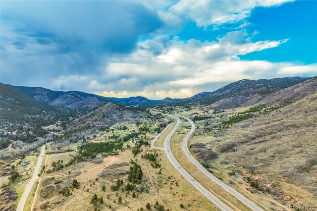 9610 Mohawk Trl, Cascade, CO 80809 - mountain view