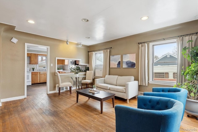 living room featuring light hardwood / wood-style flooring