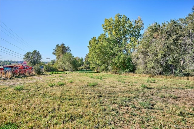 view of yard featuring a rural view