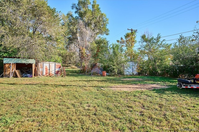 view of yard featuring a storage unit