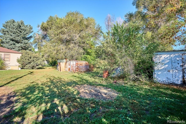 view of yard featuring a storage shed