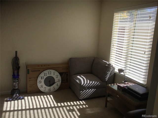 sitting room with carpet