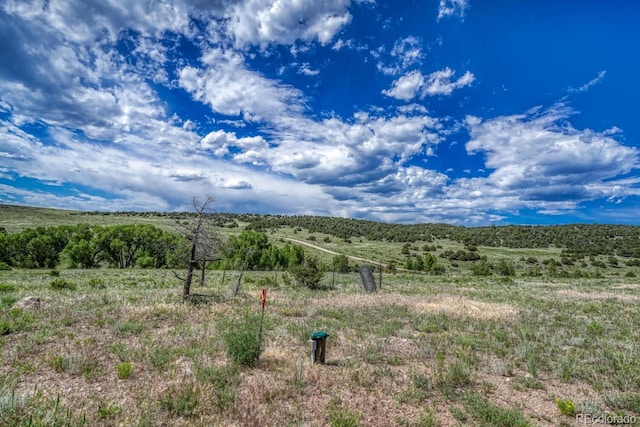 1610 Timber Ridge Rd, Westcliffe, CO 81252 - mountain view with rural landscape