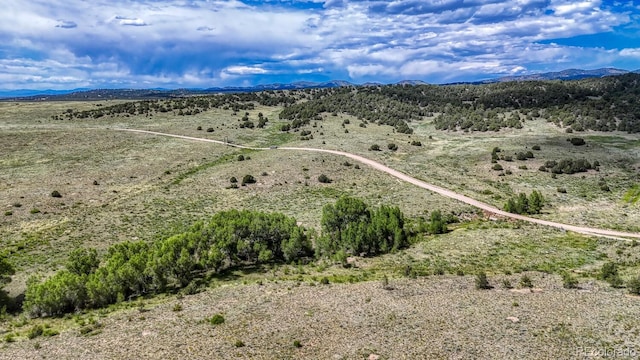 1610 Timber Ridge Rd, Westcliffe, CO 81252 - view of rural area featuring a mountainous background and a desert landscape