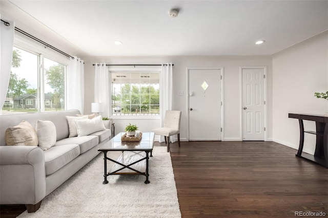 6390 W 45th Ave, Wheat Ridge, CO 80033 - living area featuring wood finished floors and recessed lighting