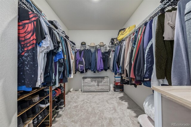 walk in closet featuring carpet
