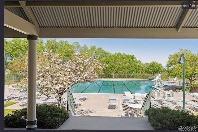 10345 Lions Heart, Lone Tree, CO 80124 - community pool featuring a patio and view of scattered trees