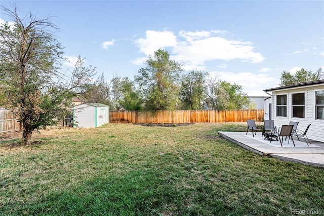 view of yard featuring a patio area and a storage unit