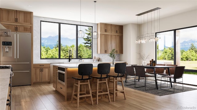 kitchen with light wood-type flooring, a healthy amount of sunlight, stainless steel appliances, and a mountain view