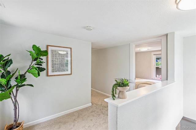 4142 Chase St, Denver, CO 80212 - photo 18