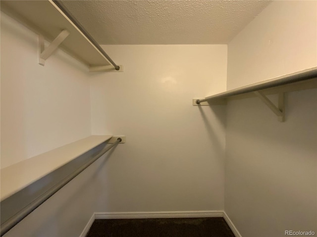 2160 S Vaughn Way Unit 104C, Aurora, CO 80014 - walk in closet with dark carpet
