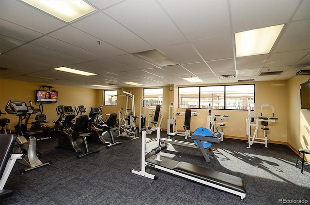 workout area with carpet floors and a drop ceiling