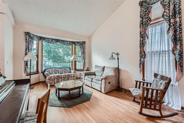 5362 S Danube Ct, Centennial, CO 80015 - living area featuring plenty of natural light, wood finished floors, a textured ceiling, and lofted ceiling