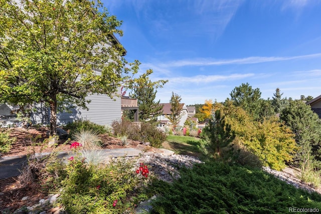 1519 Stonehill Ct, Castle Rock, CO 80104 - view of yard