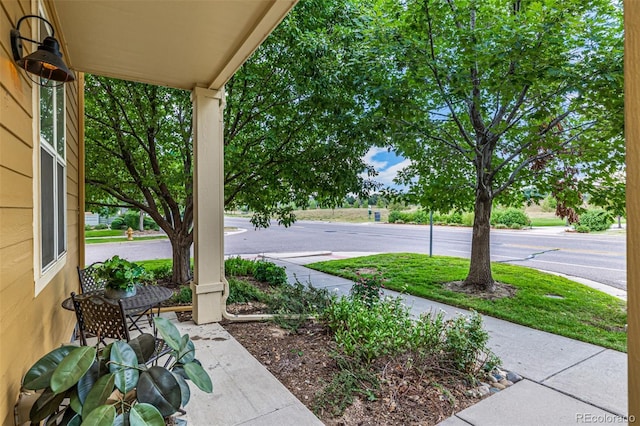 9833 E 26th Ave, Denver, CO 80238 - photo 8