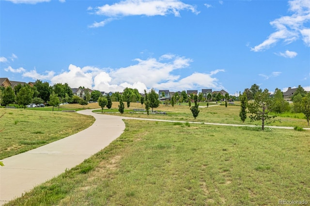 9833 E 26th Ave, Denver, CO 80238 - photo 41