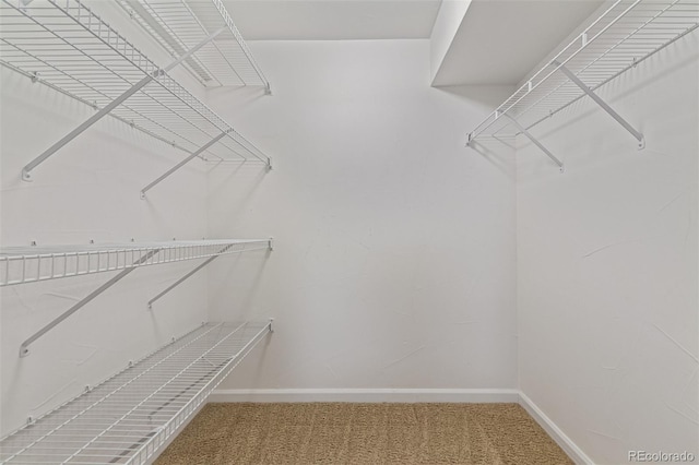 7719 S Jackson Cir, Centennial, CO 80122 - spacious closet featuring carpet