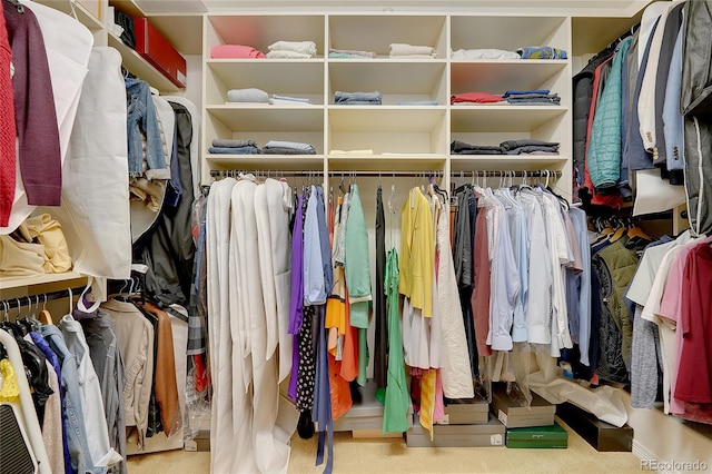 spacious closet with light colored carpet