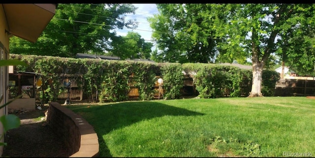 view of yard