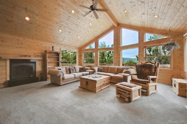 35 Pickle Pt, Black Hawk, CO 80422 - photo 6