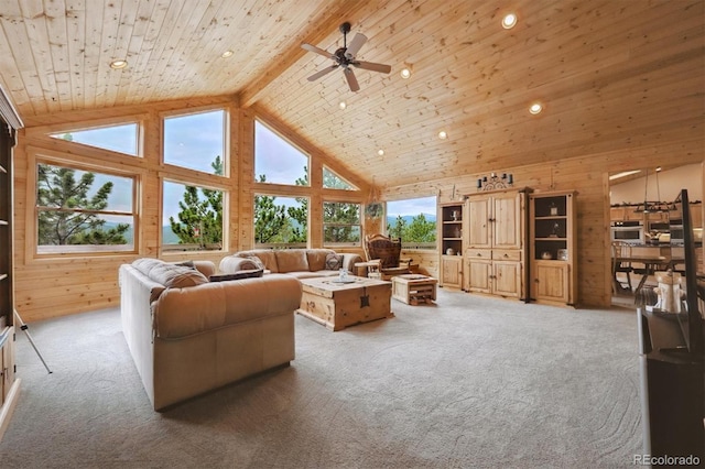35 Pickle Pt, Black Hawk, CO 80422 - photo 8
