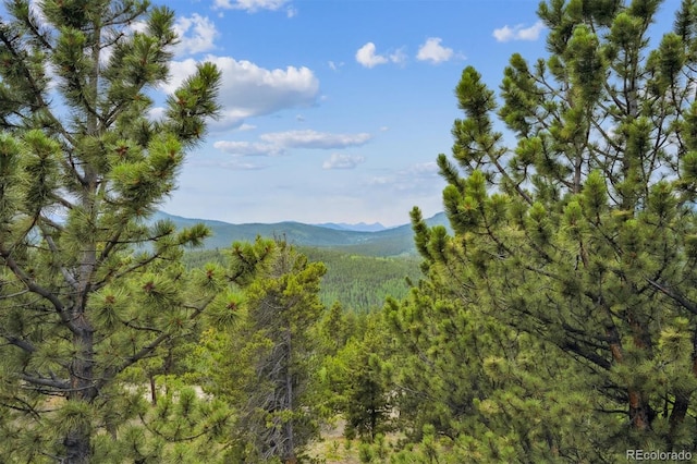 35 Pickle Pt, Black Hawk, CO 80422 - photo 30