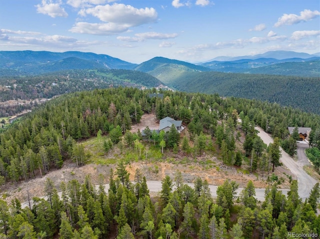 35 Pickle Pt, Black Hawk, CO 80422 - photo 31