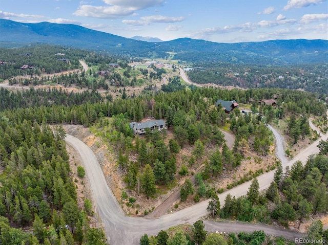 35 Pickle Pt, Black Hawk, CO 80422 - photo 32
