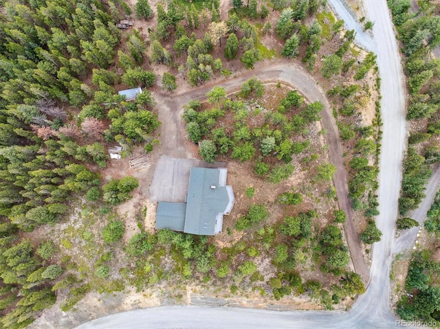 35 Pickle Pt, Black Hawk, CO 80422 - photo 33