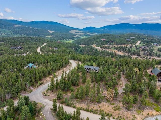 35 Pickle Pt, Black Hawk, CO 80422 - photo 34