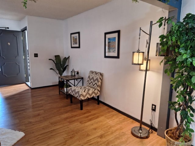 living area with hardwood / wood-style floors