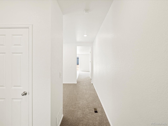 547 Homestead Ave, Brighton, CO 80601 - photo 4