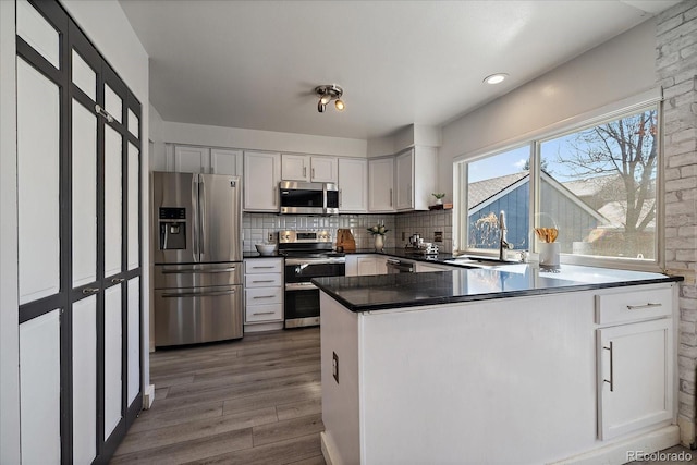 kitchen featuring stainless steel appliances, dark wood-type flooring, a sink, backsplash, and dark countertops