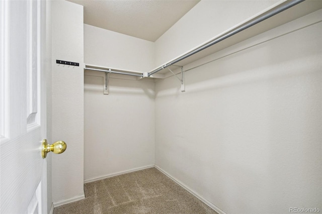 spacious closet with carpet floors