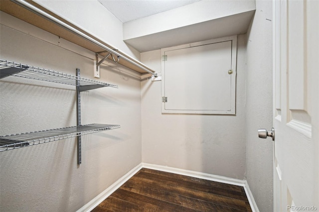 spacious closet featuring dark hardwood / wood-style flooring