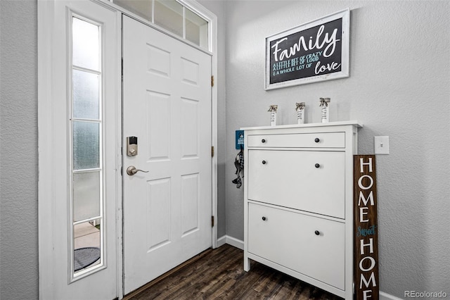 1464 Nemrick Pl, Castle Rock, CO 80109 - entryway with dark wood-style flooring, a textured wall, and baseboards