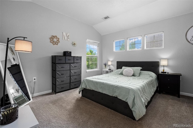 1464 Nemrick Pl, Castle Rock, CO 80109 - carpeted bedroom featuring lofted ceiling and baseboards