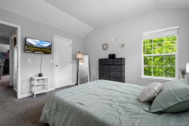 1464 Nemrick Pl, Castle Rock, CO 80109 - carpeted bedroom featuring lofted ceiling and baseboards