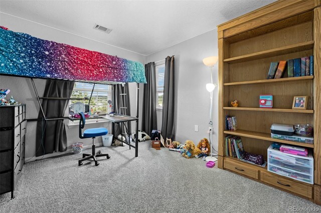 1464 Nemrick Pl, Castle Rock, CO 80109 - view of carpeted office