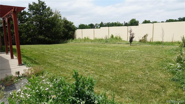 8895 E Radcliff Ave E, Denver, CO 80237 - view of yard