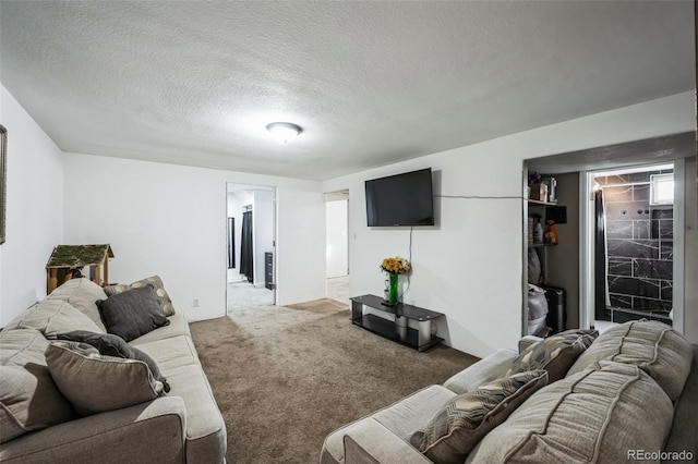 327 N 12th Ave, Brighton, CO 80601 - living room with carpet and a textured ceiling