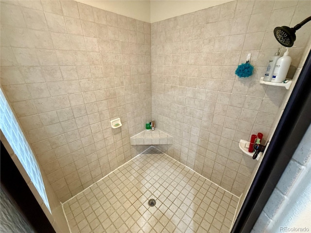 12984 Crowfoot Springs Rd, Larkspur, CO 80118 - photo 25