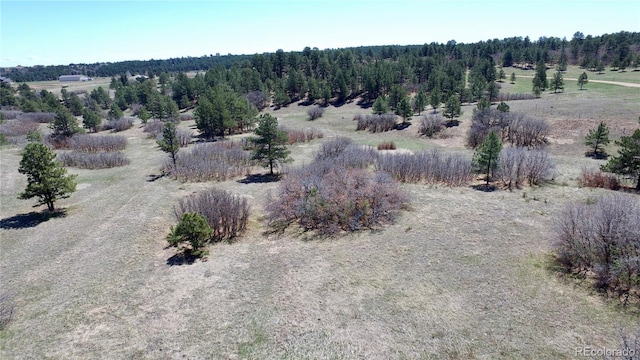 12984 Crowfoot Springs Rd, Larkspur, CO 80118 - photo 46