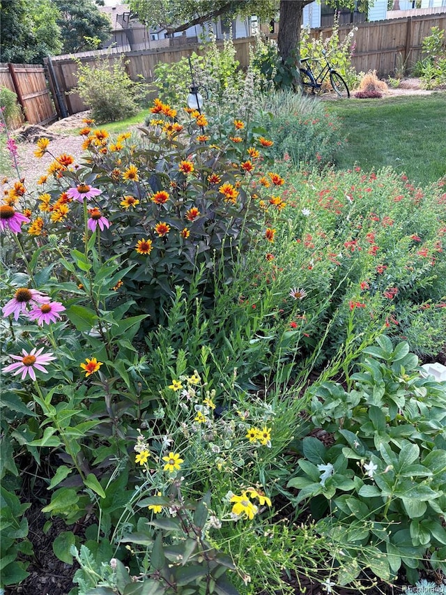 view of yard with fence