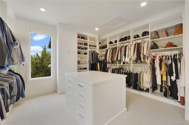3450 S Cherry St, Denver, CO 80222 - spacious closet with attic access and light carpet