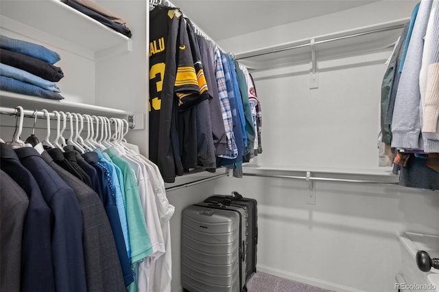 walk in closet with carpet