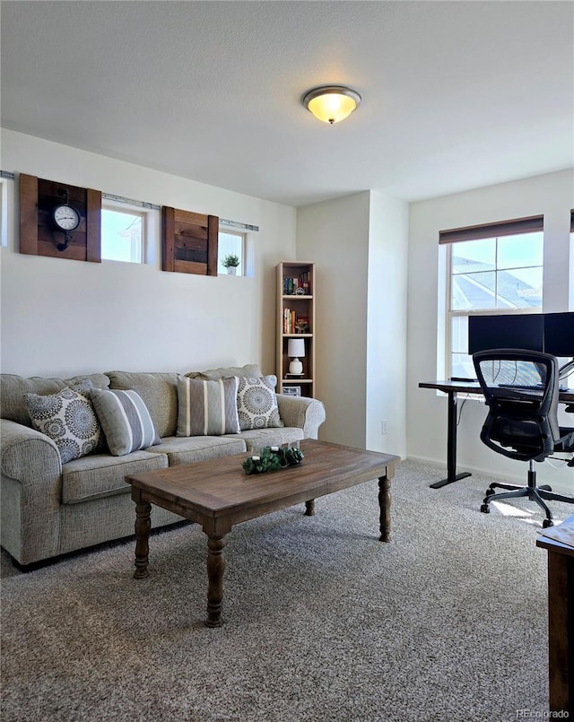 view of carpeted living area